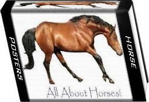 horse posters ecover
